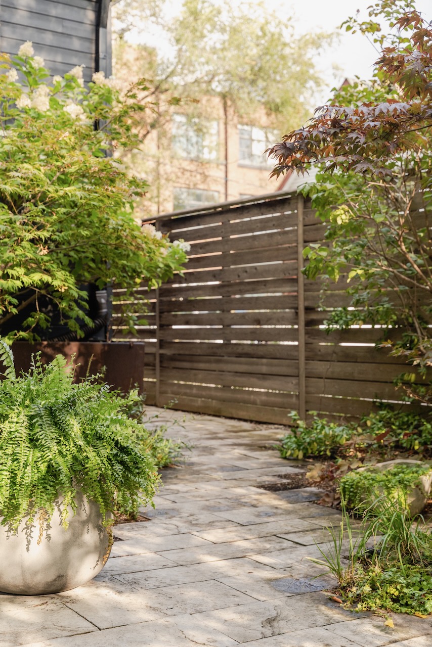 Photo by ARAS Imaging | www.arasimaging.com